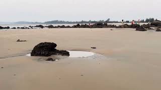 Goa Darling vibe