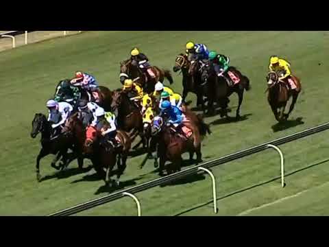 ALESIAN CHIEF - 2021 WORLD SPORTS BETTING MERCHANTS