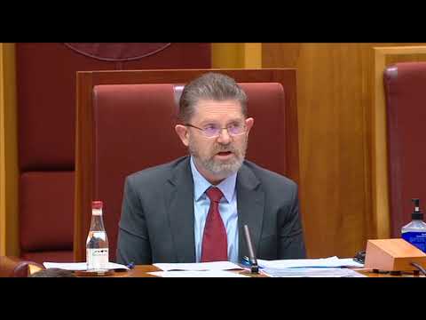 President's Statement - COVID-19: Parliamentary Procedure