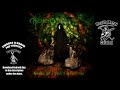 Nemesis Shade Of A Soul S Reflection Full Album 2017 Cuba