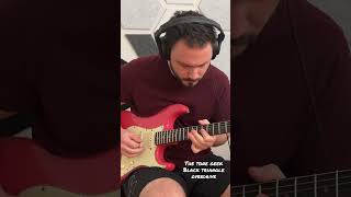 Video thumbnail for Shuffle with two rock Classic reverb signature and the tone geek black triangle overdrive by Federico Kajganić