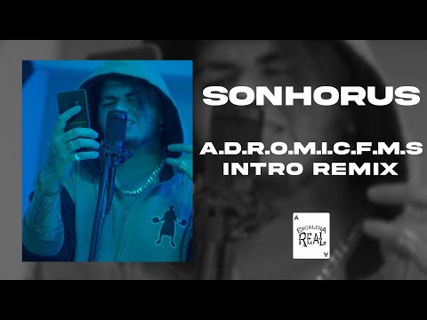 SONHORUS - A.D.R.O.M.I.C.F.M.S INTRO YUNG BEEF REMIX