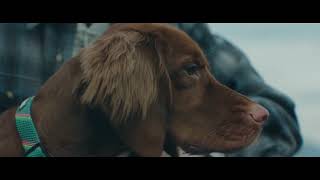 PetSmart BLUE Feed Their Wild Side October Offer