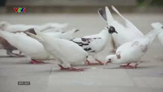 TRỰC TIẾP  LỄ KHAI GIẢNG HỌC VIỆN HÀNH CHÍNH VÀ QUẢN TRỊ CÔNG NĂM HỌC 2025   2026  8h00   05 9 2025