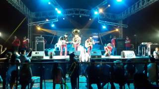 El rey de las brechas reynosa tamaulipas