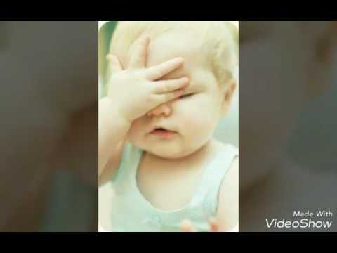 František Nedvěd - Jako Ptáci