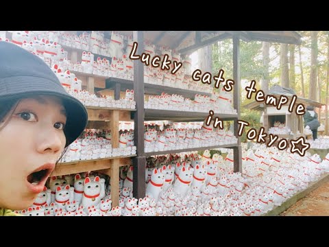 【Tokyo】Gotokuji Temple and Around Gourmet! Lucky Cats Temple【JAPAN vlog】