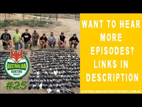 AHP #25 – Hunting Pigeons With Soar No More Decoys Neal Hunt