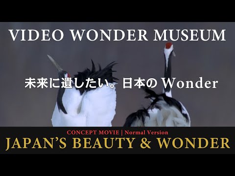 VIDEO WONDER MUSEUM【公式】コンセプト映像（ノーマル版）