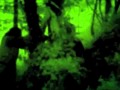 1066 Night Cam Death