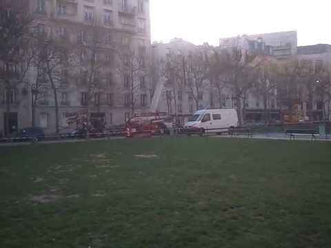 Paris FLAT TREES, HOW THEY DO IT, Place de Breteuil...