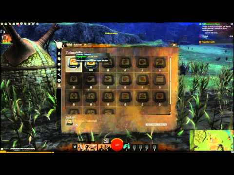 Einführung in Guild Wars 2: Vanion lernt von Sputti