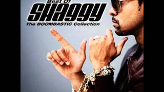 Shaggy-All We Need Is Love
