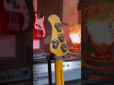 Immagine 1977 Music Man StingRay - Sunburst - OHSC - 26