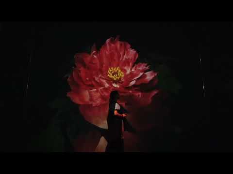 Family Day at Arte M-【Eternal Nature, Eternal Moments 2.0】Photo and Short Film Contest |【永恆自然，永恆時刻2.0】攝影及短片創作比賽