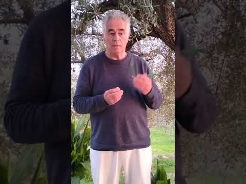 SEI HE KI , Einweihung in den 2. Reikigrad