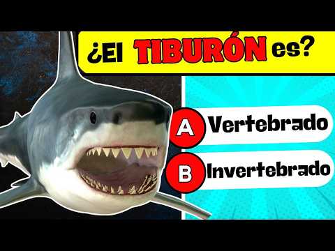 🦁🦀Is this animal a vertebrate or an invertebrate? 🧠 Test your biology knowledge 🦴🦑Animals
