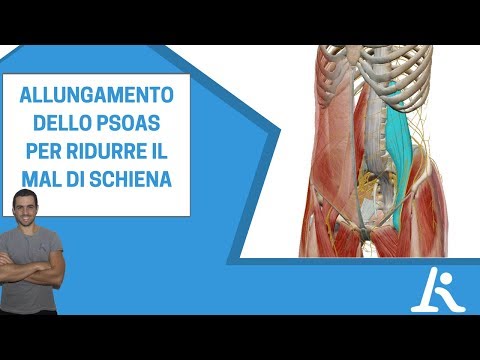 Post-traumatico da spalla osteoporosi Diffusa osteocondrosi 2 cucchiai