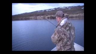 Alaska range lake trout fishing