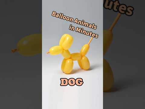 Balloon Animals in Minutes _ Dog #diy #balloncraft