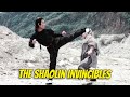 Wu Tang Collection Shaolin Invincibles WIDESCREEN HD