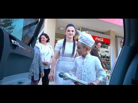 Synetimi i Ermirit ne Zvicer