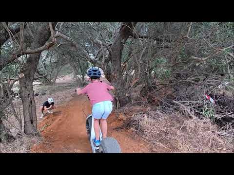 Alexander Invitation