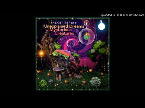 Spagettibrain - Part 2