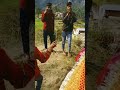 Jiyarani Temple Worship And Katyura Jagar At Patiya Village Almora