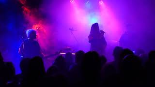 Salad - Drink the elixir  (live at the Lexington)       27/09/2017