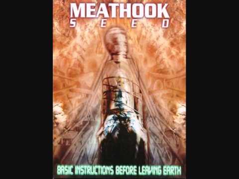 Meathook Seed- Lost In A Box