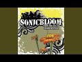 Sonicbloom (Interlude)