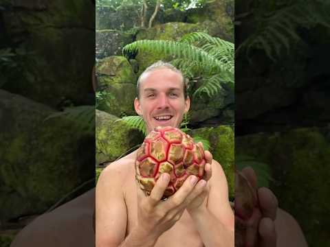 Top 5 Weirdest Fruits