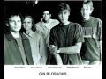 Gin Blossoms ''Soul Deep''