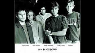 Gin Blossoms &#39;&#39;Soul Deep&#39;&#39;