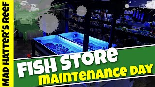 Fish Store Maintenance Day