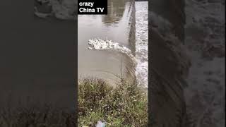 レミングスの行進　lemmings