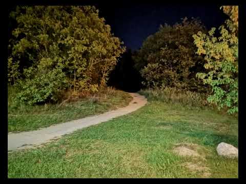 KAMUZA VIENADIENIS  (Prod. Dyar )