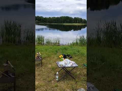 Купить дом, д. Рожево, 1 (Браславский р-н, Витебская область)