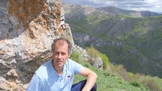 Цвят на козината 03