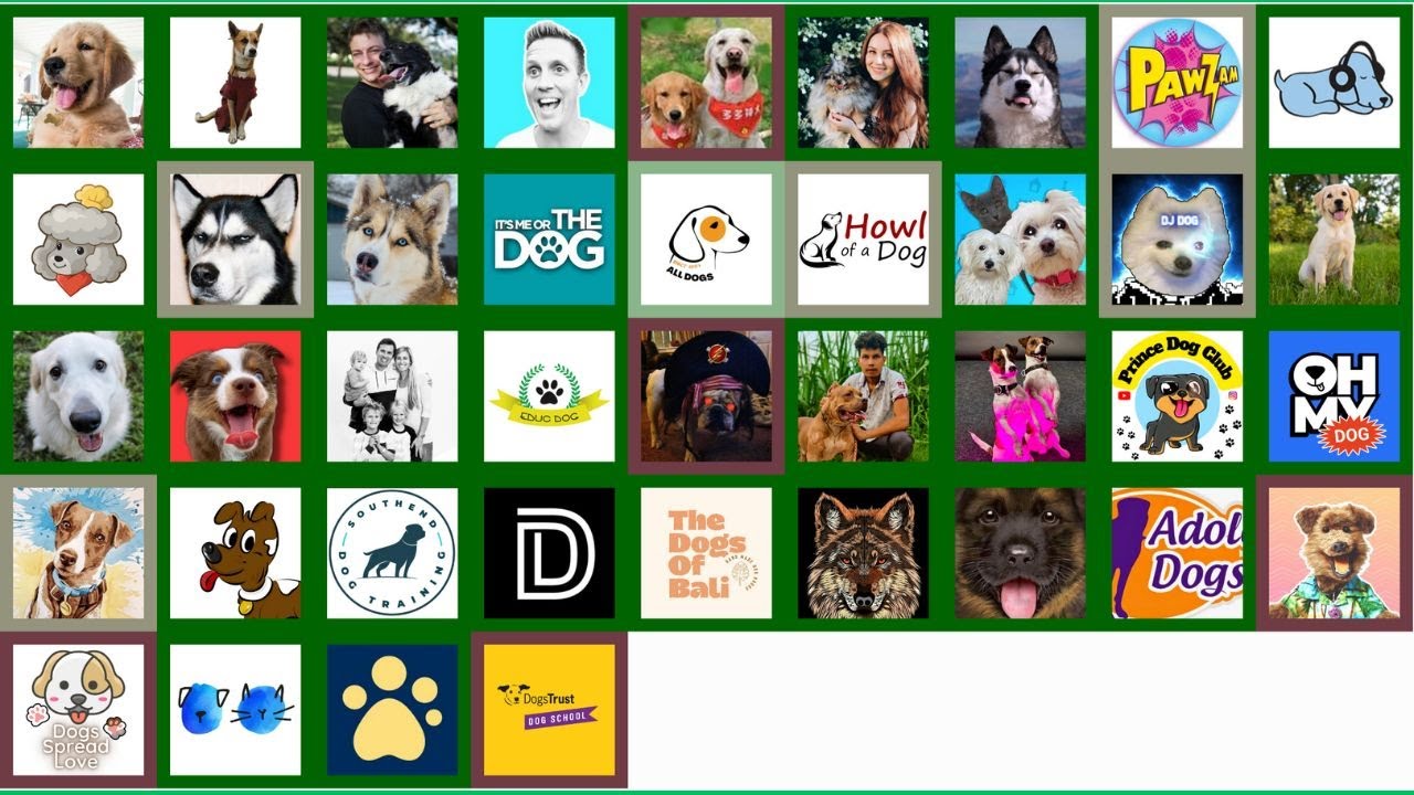 A List Of YouTube Dog Channels In Subscriber Count Order