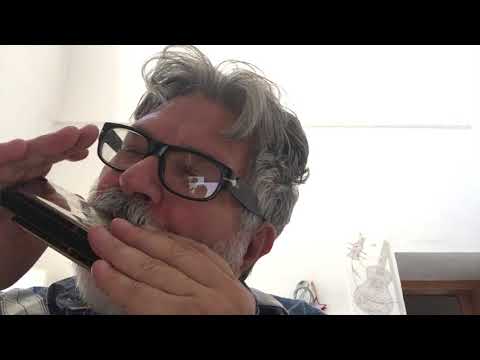 HARMONICAS MOMENT di Donatello Pisanello