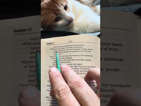 Book of Ezekiel - Chapter 26-31