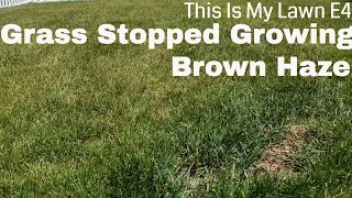 DIY How to fix My Lawns Not Growing, hazy brown, over watered lawn. This is my lawn E4.