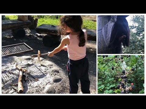 Grigliata nel Bosco con PIPISTRELLO a sorpresa