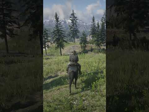 My Horse and I Wild West 🐎🌿 #rdr2