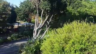 Herb Gardens as Beautiful Environments