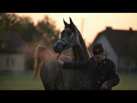 𝐏𝐔𝐒𝐓𝐘𝐍𝐈𝐀 𝐎𝐆𝐍𝐈𝐀 (𝐄𝐦𝐩𝐢𝐫𝐞 𝐱 𝐏𝐮𝐬𝐭𝐲𝐧𝐢𝐚 𝐊𝐚𝐡𝐢𝐥𝐚, 𝐛𝐲 𝐊𝐚𝐡𝐢𝐥 𝐀𝐥 𝐒𝐡𝐚𝐪𝐚𝐛), 𝟐𝟎𝟐𝟎 𝐌𝐚𝐫𝐞 - PRIDE OF POLAND 2023