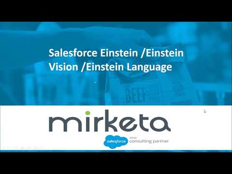 Fundamentals of Salesforce Einstein | What is Salesforce Einstein Vision | Einstein AI (Part 1)