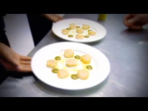 download lagu mp3 mp4 Scallops And Cauliflower Puree, download lagu Scallops And Cauliflower Puree gratis, unduh video klip Scallops And Cauliflower Puree